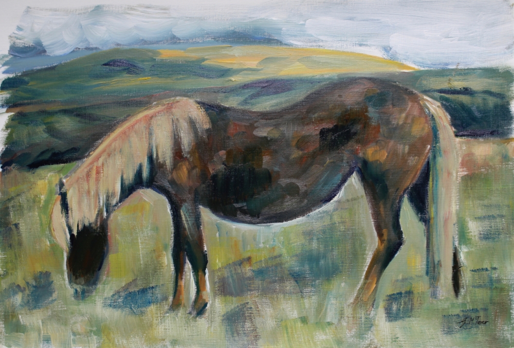 Dartmoor Pony