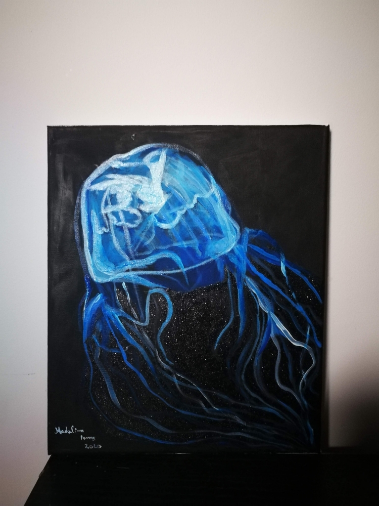 Jellyfish