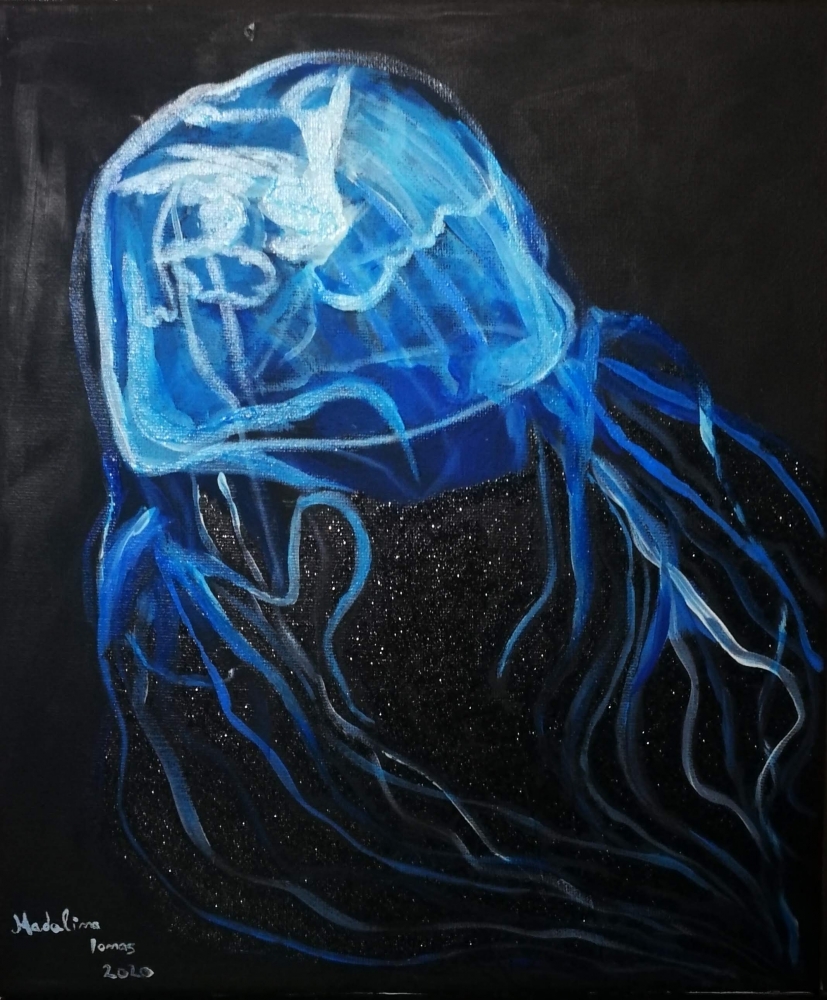 Jellyfish
