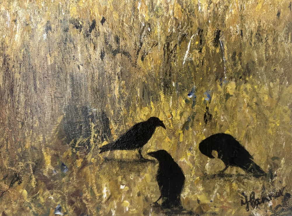 Stormy skies over cornfield with crows