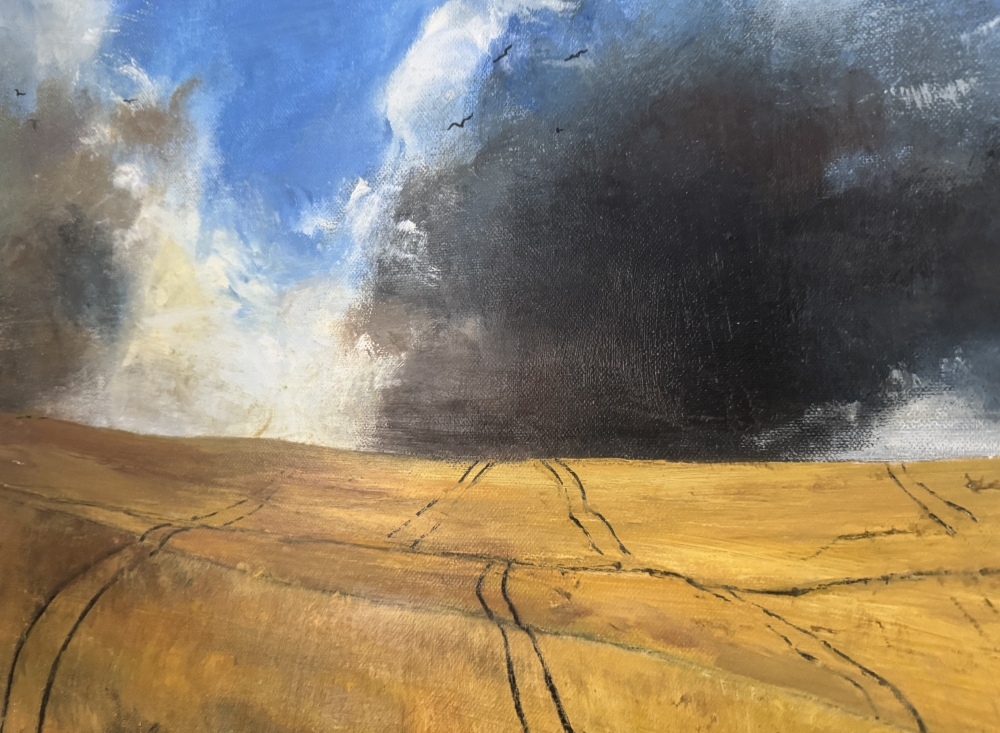 Stormy skies over cornfield with crows