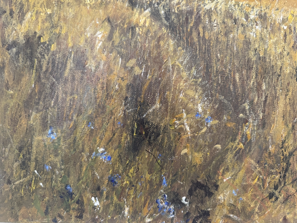 Stormy skies over cornfield with crows