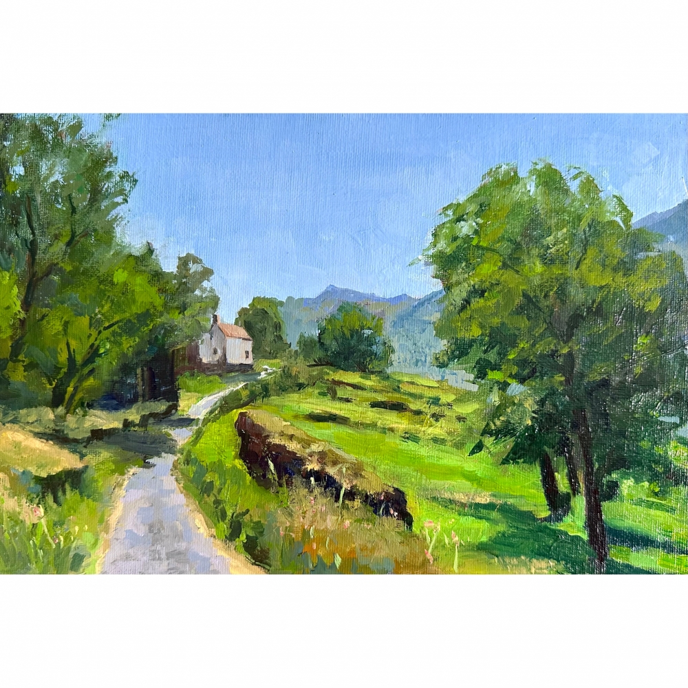 Pyrenees landscape