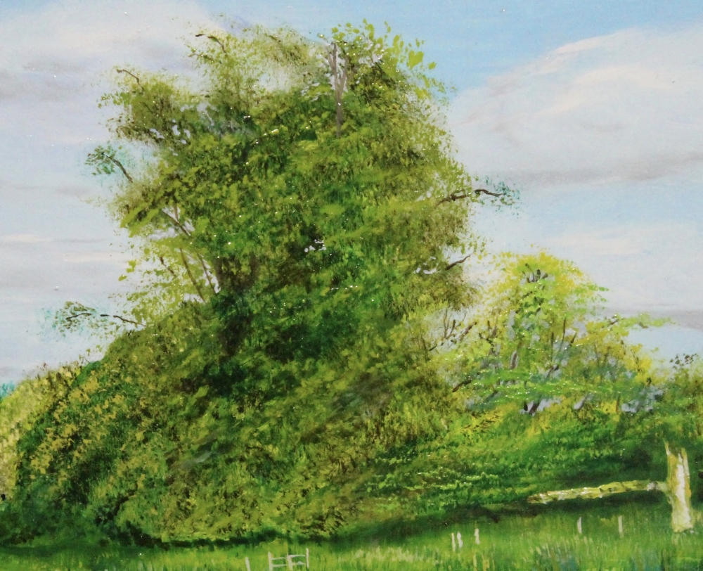 The River Wey at Pyreford 