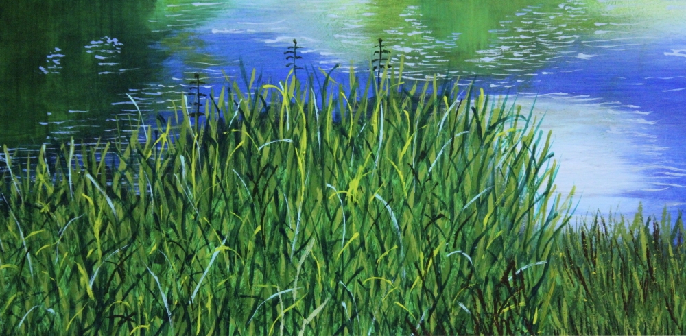 The River Wey at Pyreford 