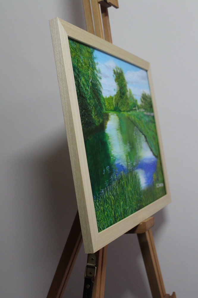 The River Wey at Pyreford 