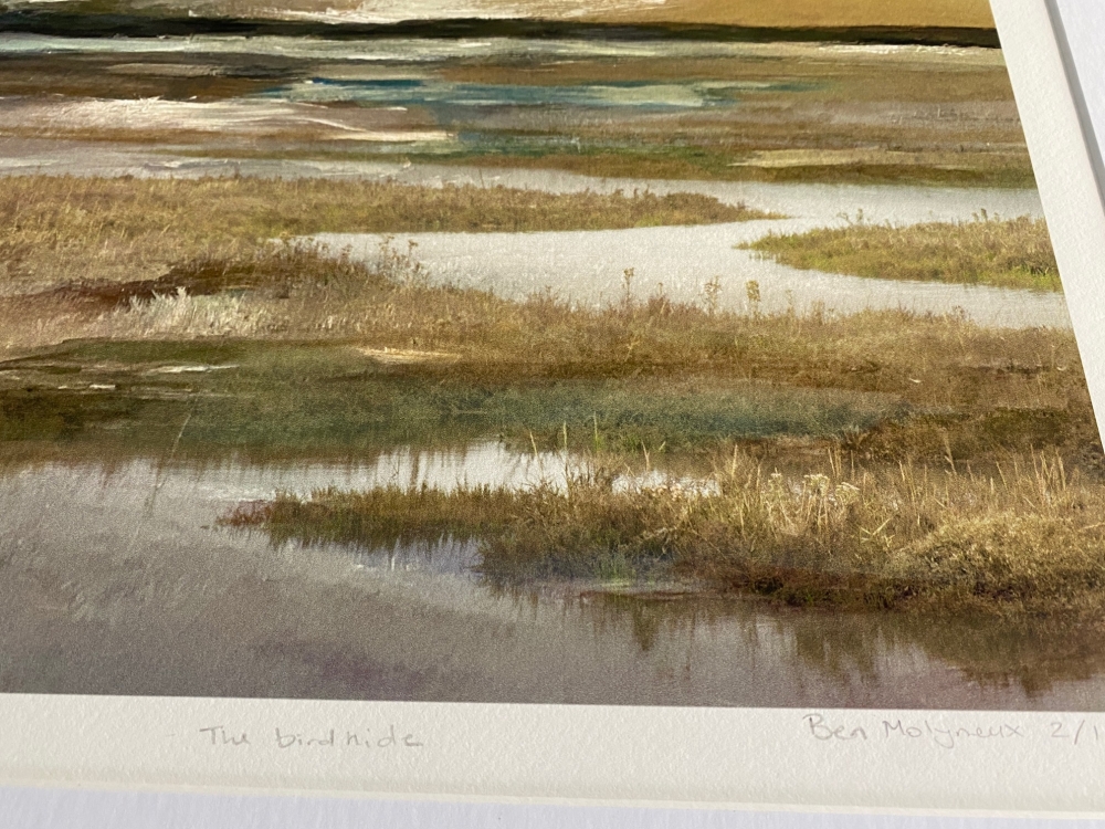 The Bird Hide