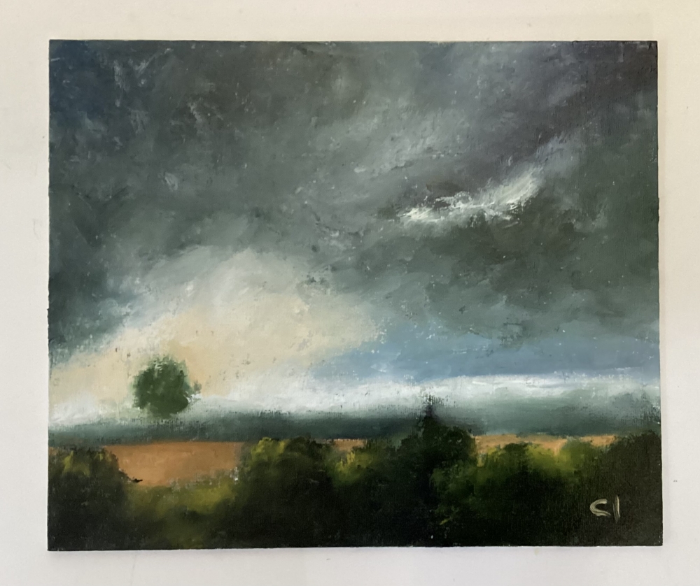 The Nature of Dorset