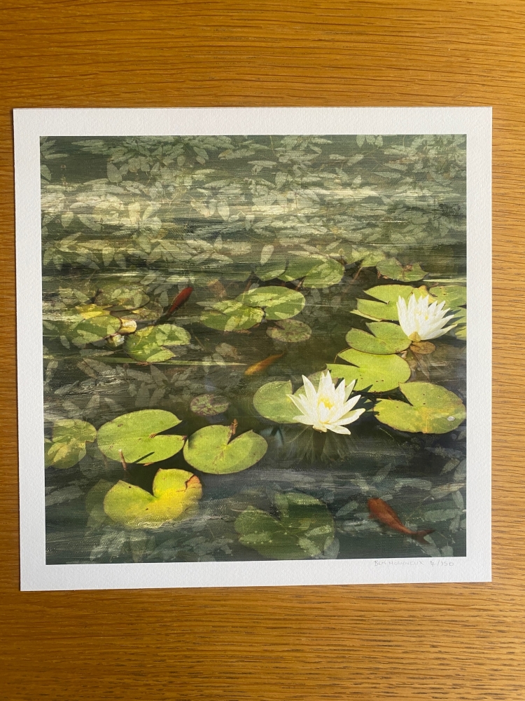 Pond Life