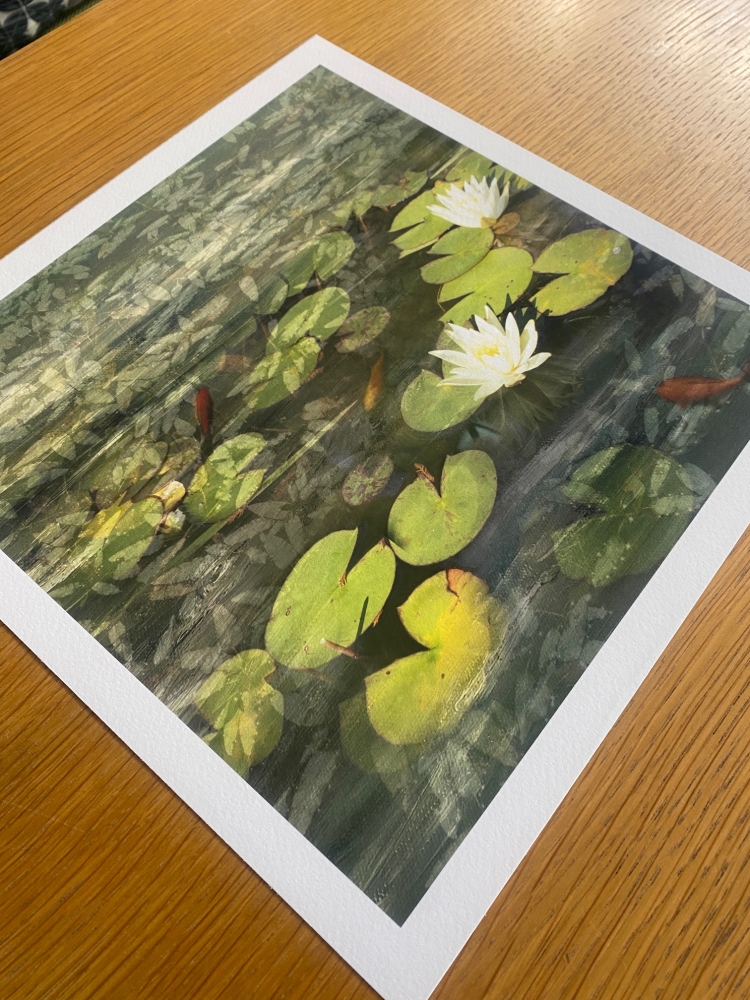 Pond Life