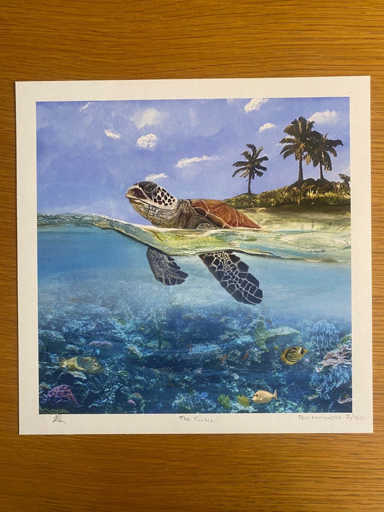 The Turtle