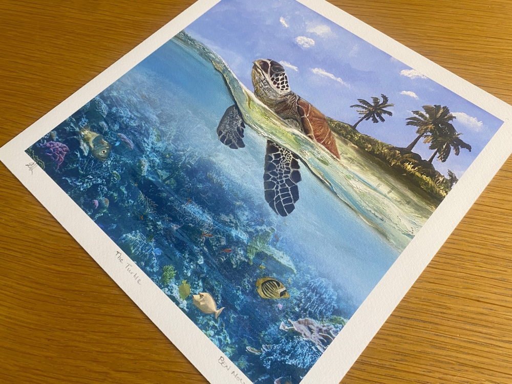 The Turtle
