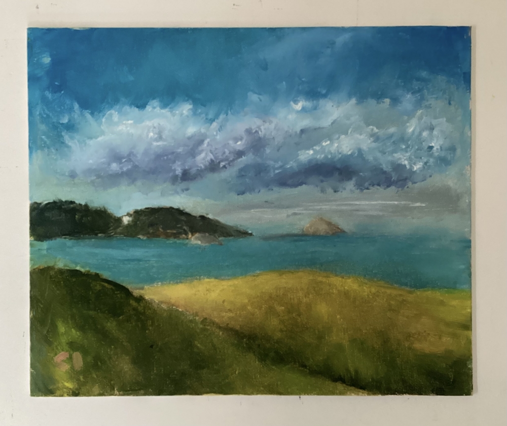 Hope Nose Torbay