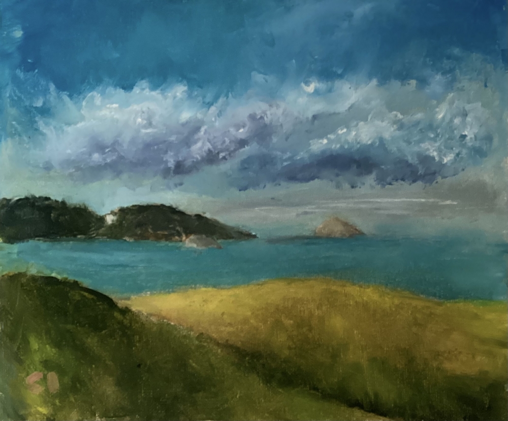Hope Nose Torbay