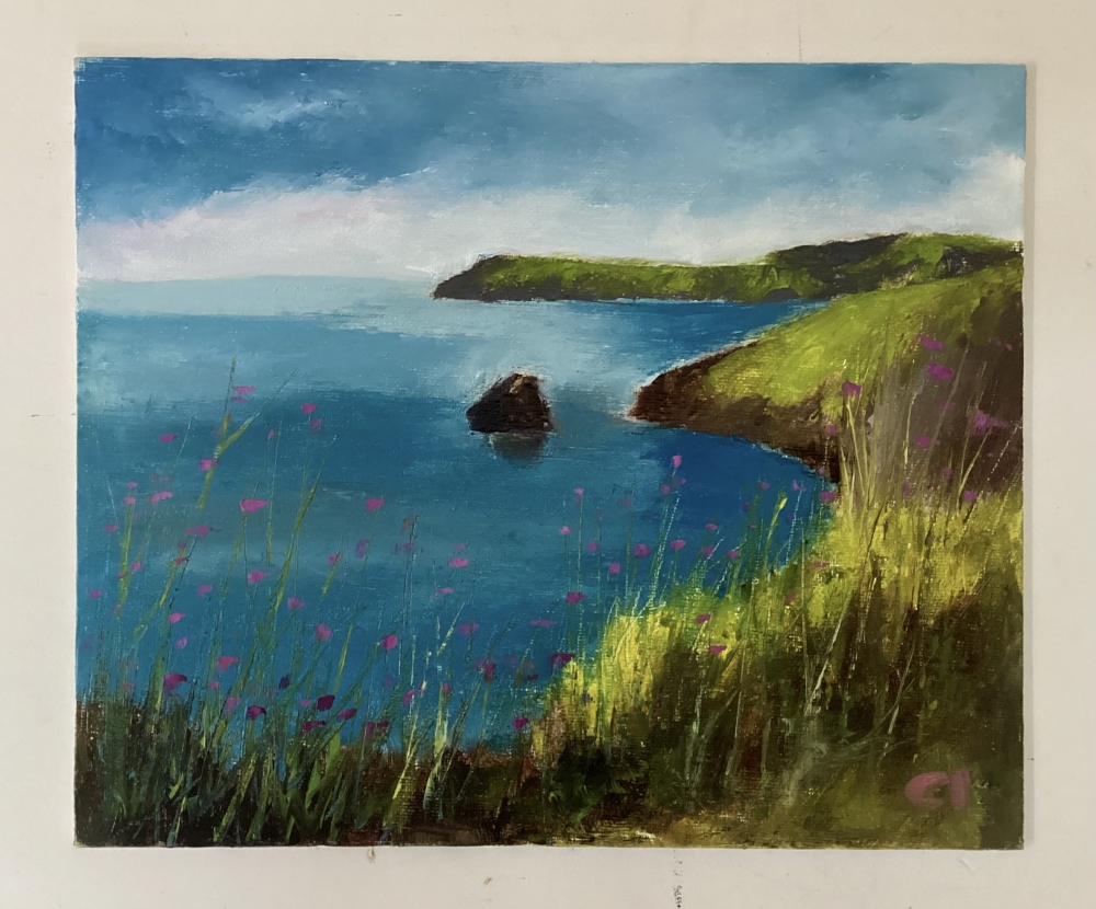 Berry Head - Day for Dolphins