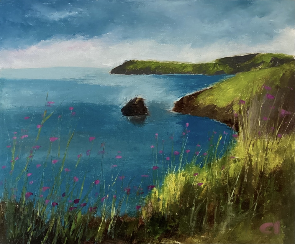 Berry Head - Day for Dolphins
