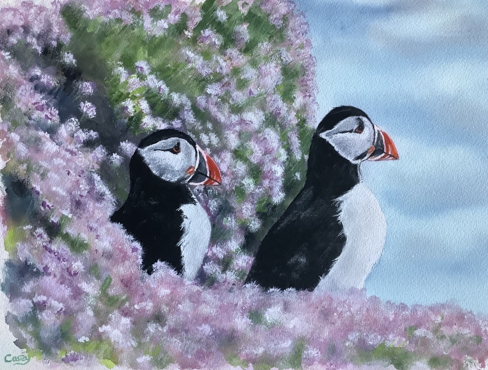 Puffins amongst sea thrift