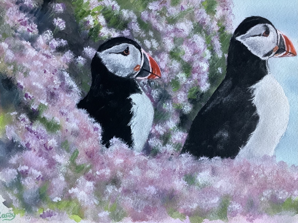 Puffins amongst sea thrift