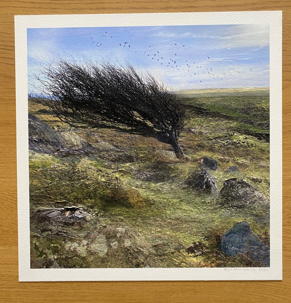 The Winds of Change