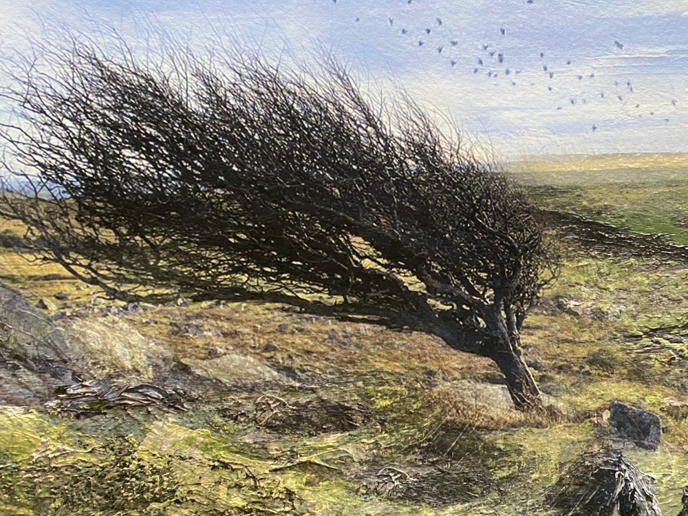 The Winds of Change