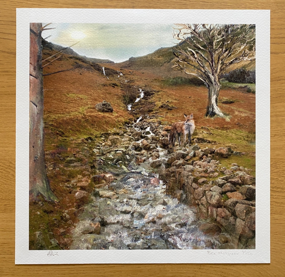 The Fox the Waterfall and the Winter Tree