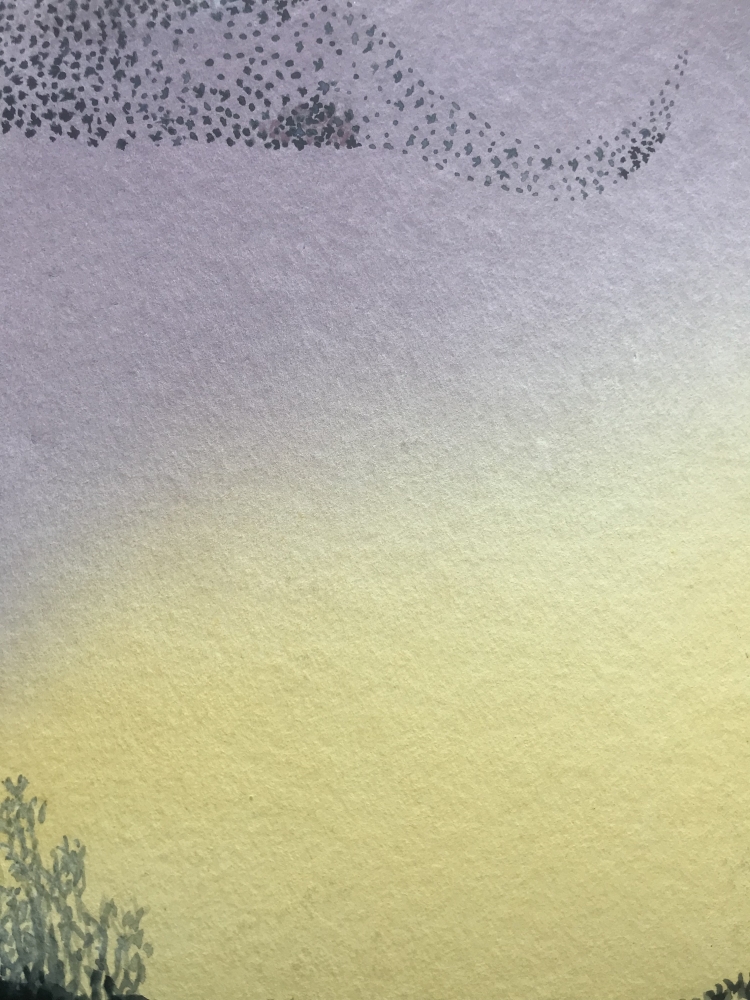 Black Roof Country - Tied Starlings