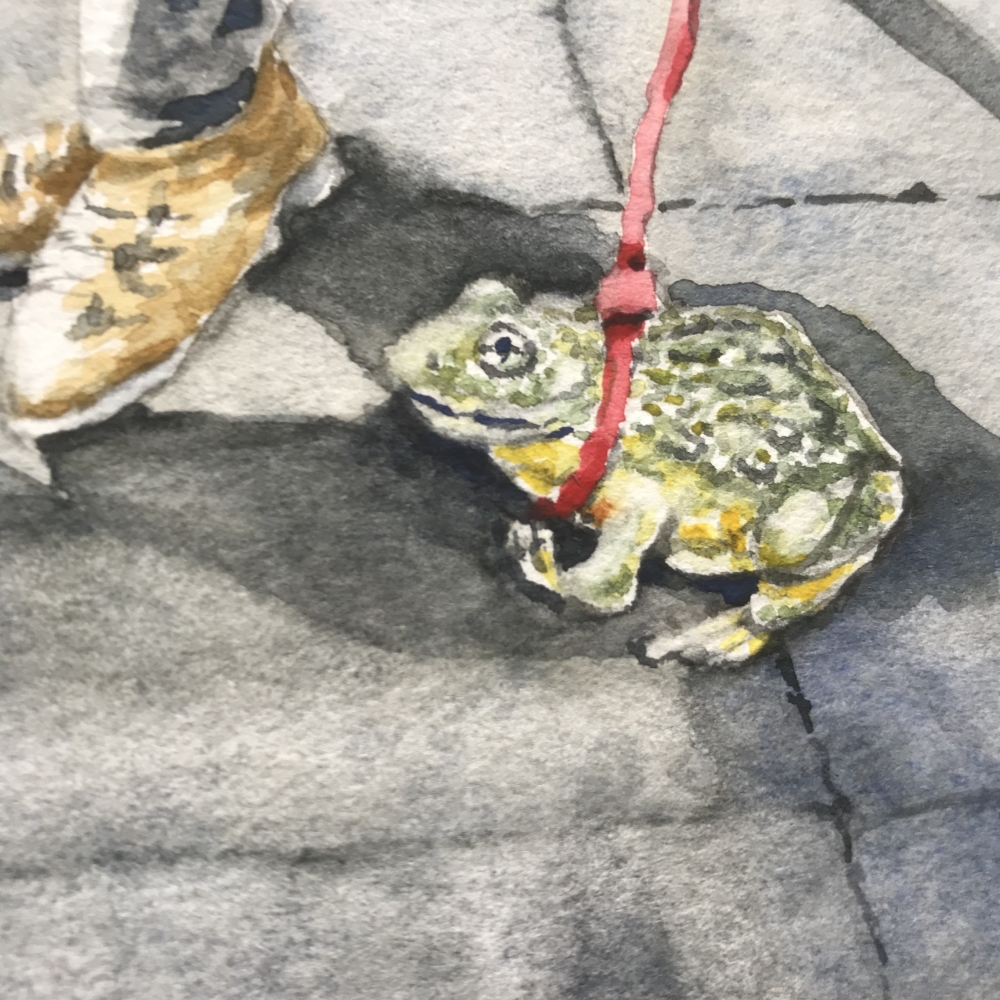 PIXIE - FROGGY NOT DOGGY