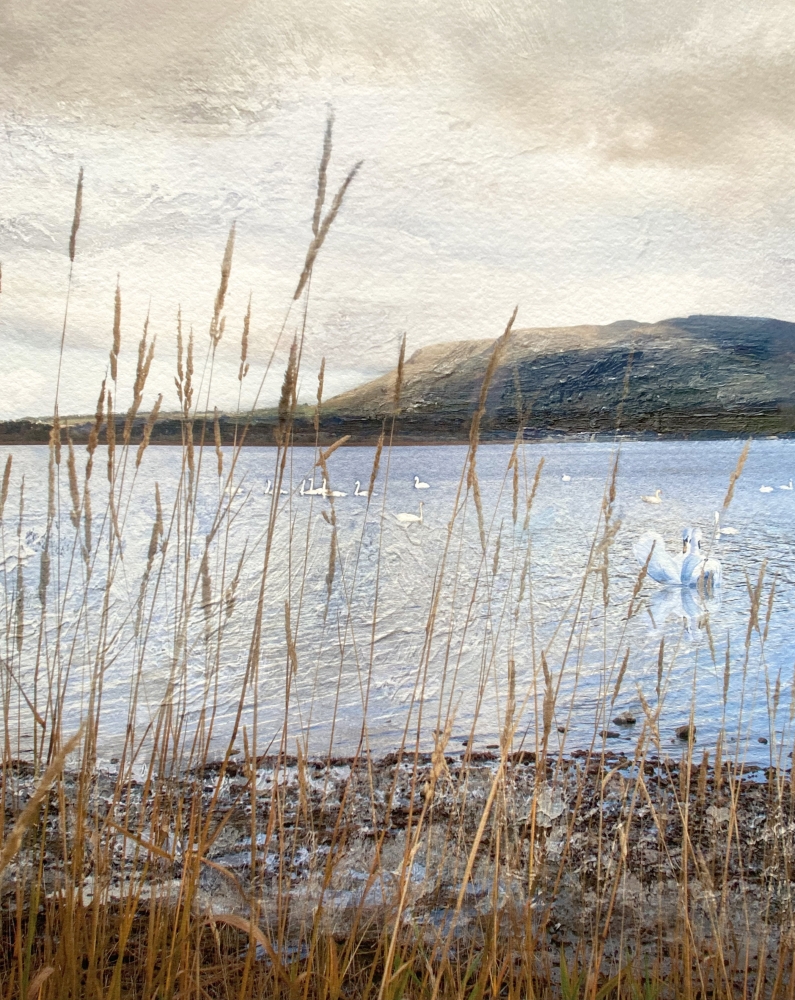 The Swans of Loch Leven