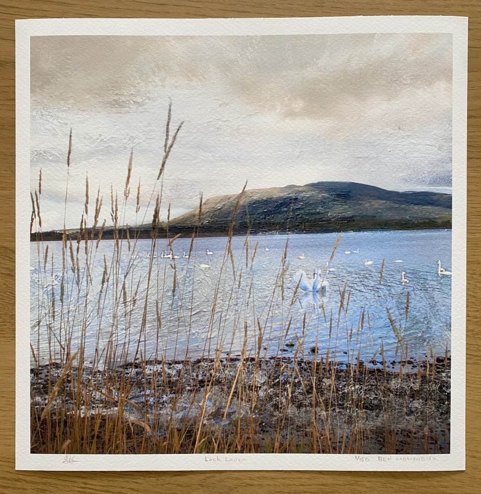 The Swans of Loch Leven