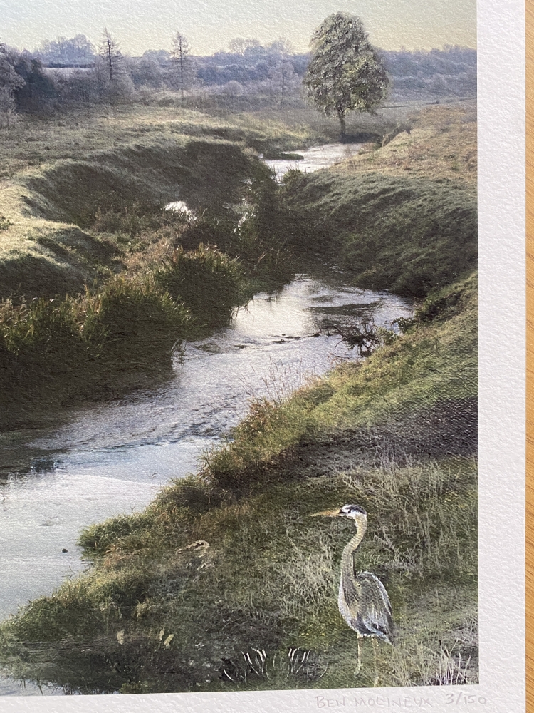 The Heron's Grace