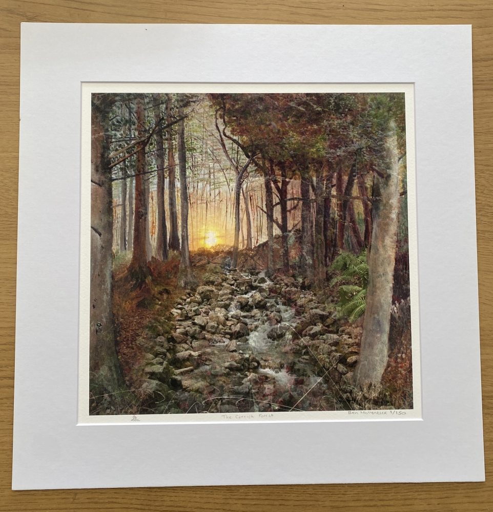 The Cornish Forest
