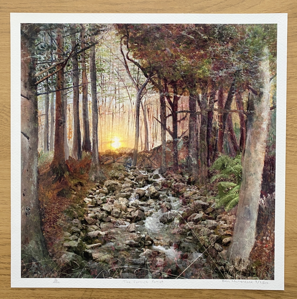 The Cornish Forest