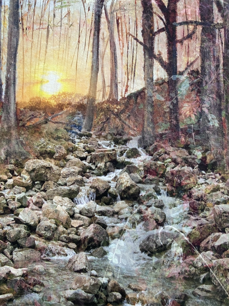 The Cornish Forest