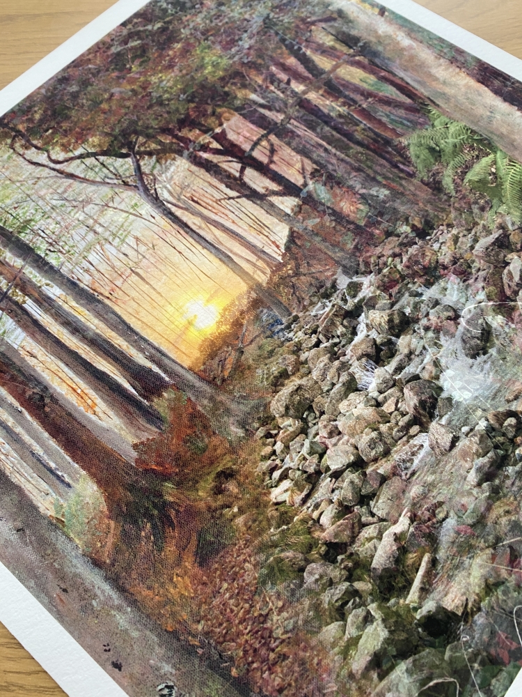 The Cornish Forest