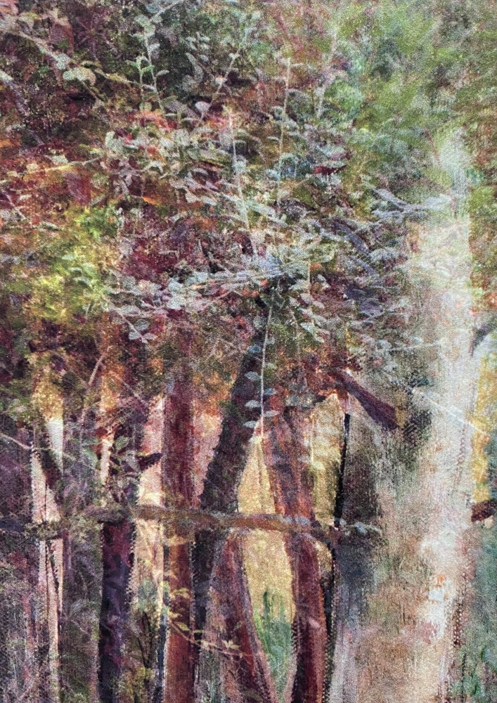 The Cornish Forest