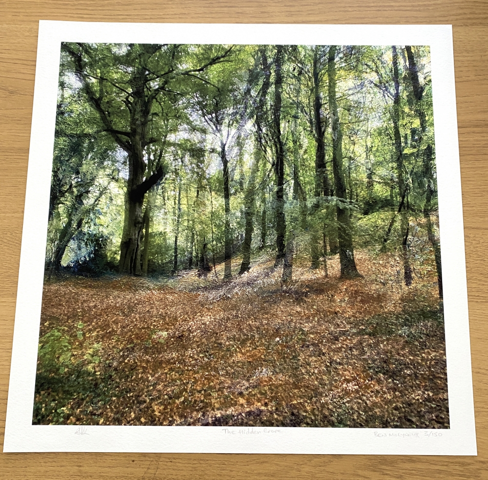 The Hidden Grove