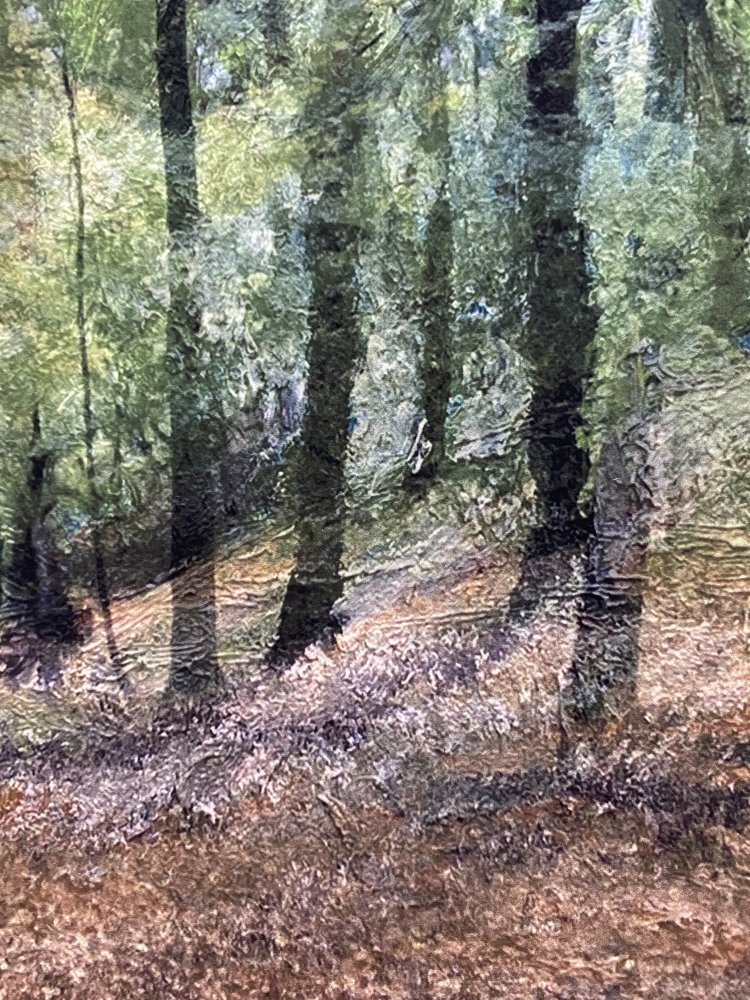 The Hidden Grove