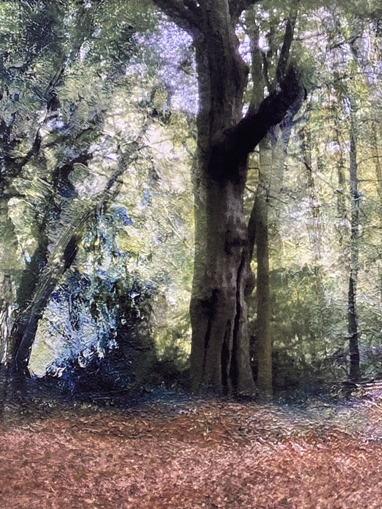 The Hidden Grove