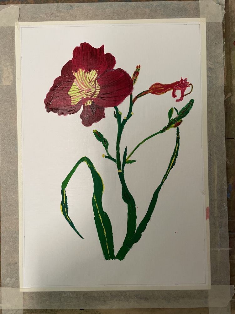 Crimson day lily