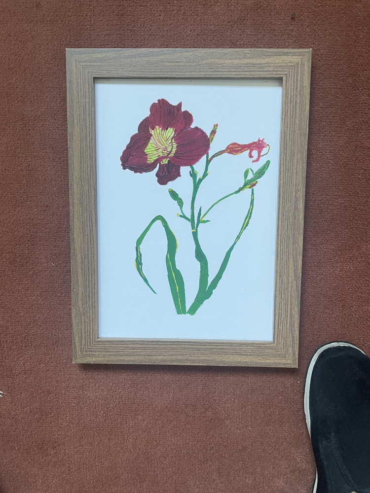 Crimson day lily