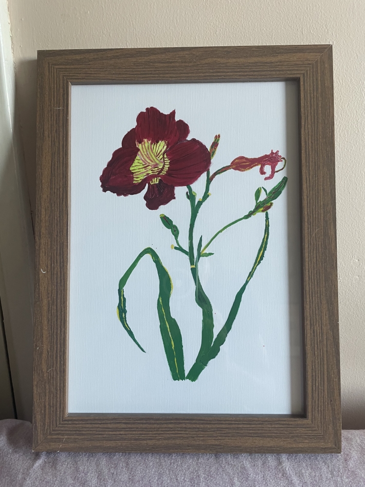 Crimson day lily