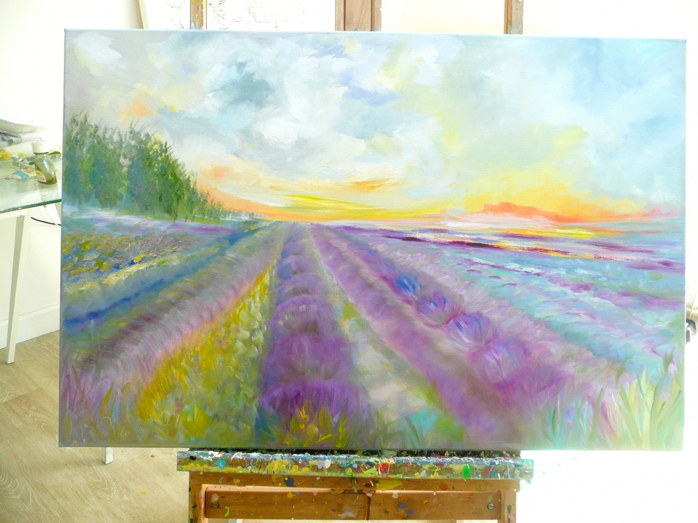 Lavender Fields 2025 