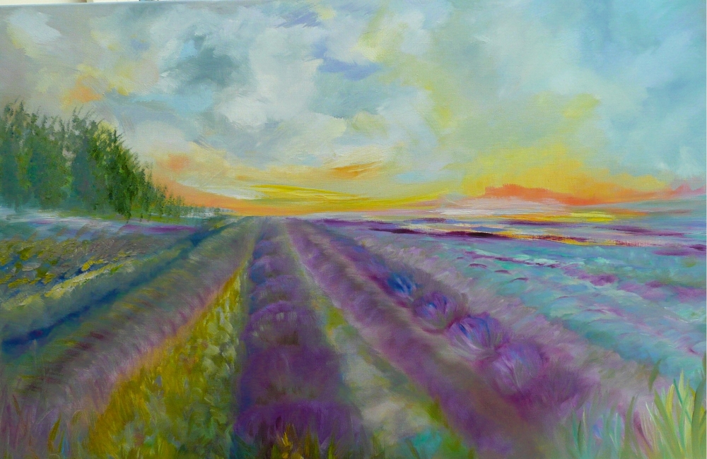 Lavender Fields 2025 