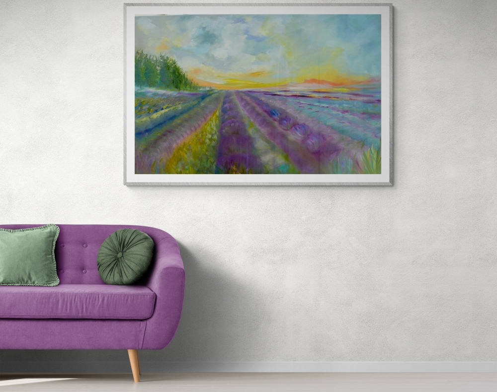 Lavender Fields 2025 