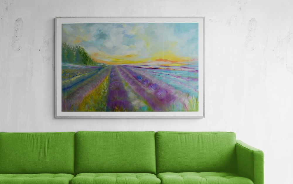 Lavender Fields 2025 
