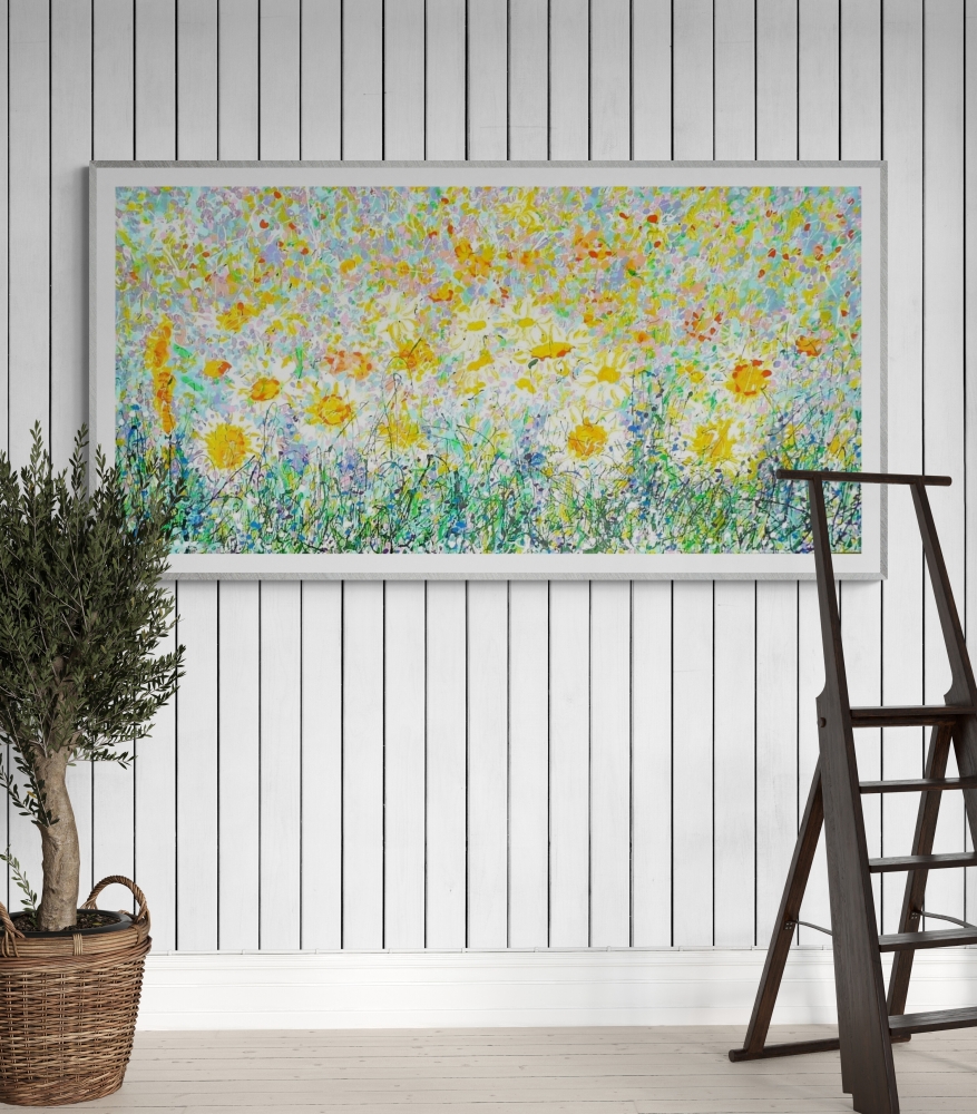 Wild Daisy Meadow