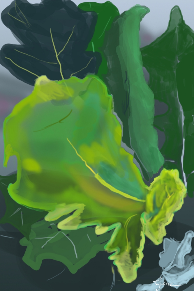Oak Leaves