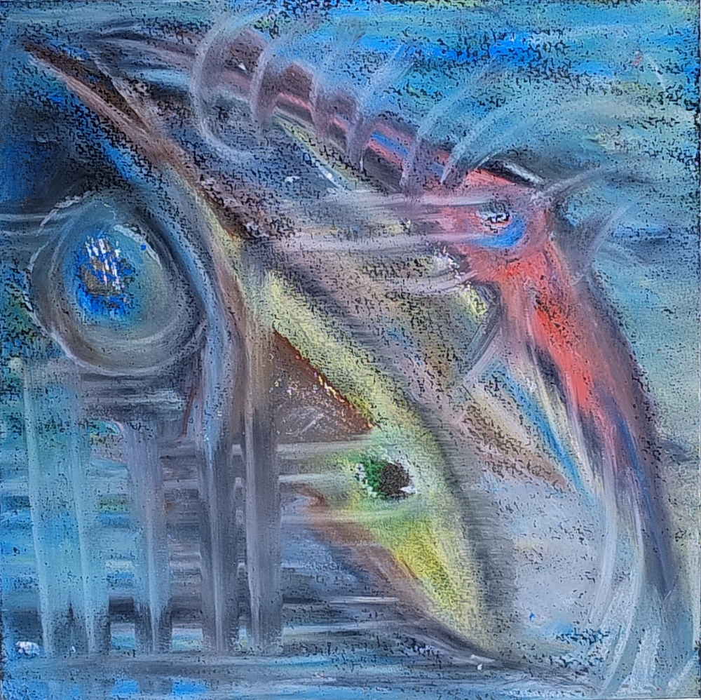 Fish & Squid