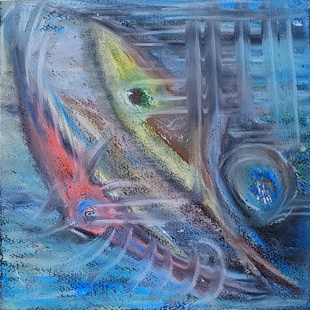 Fish & Squid