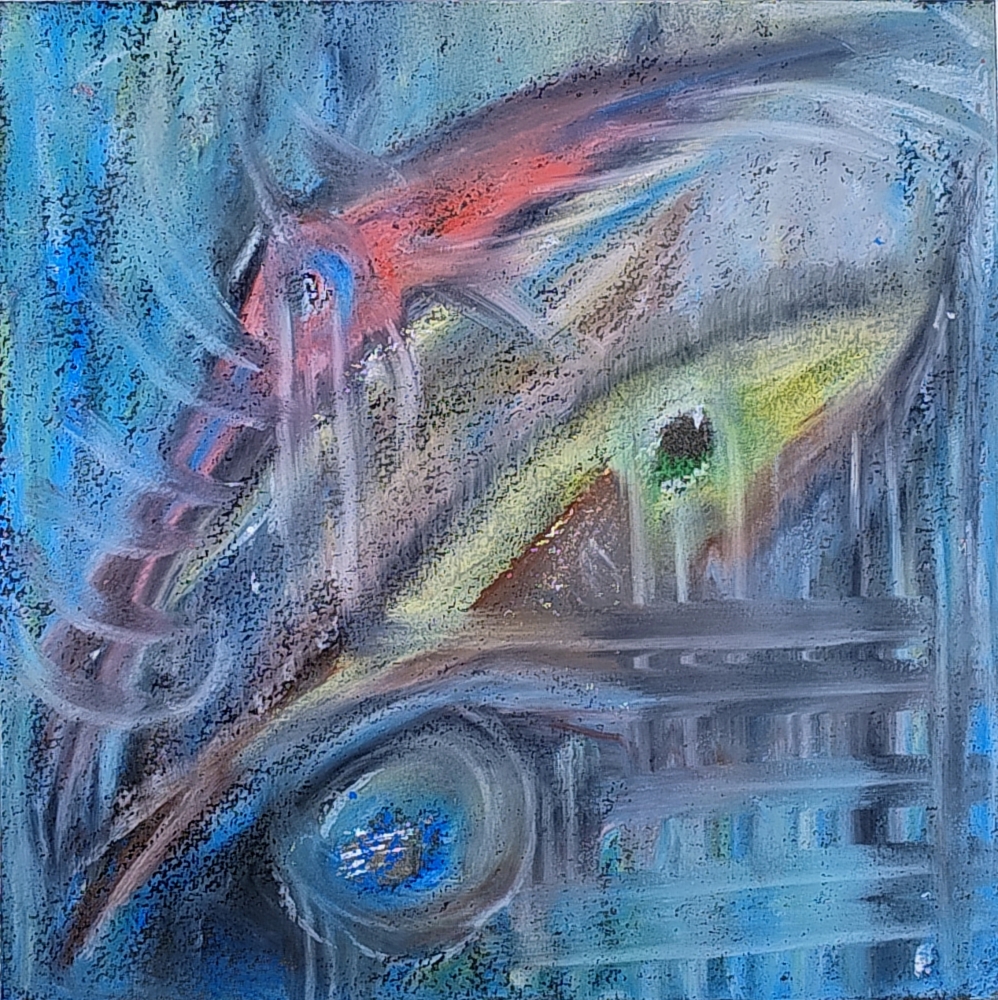 Fish & Squid